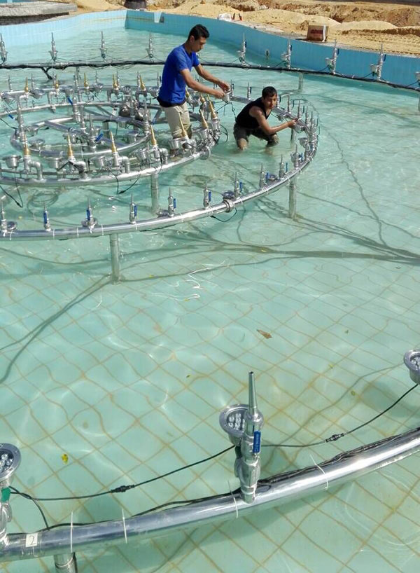 Water Quality for Stainless Steel Musical Fountain