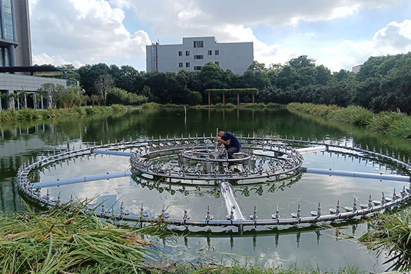 Music fountain In Dongguan Installation