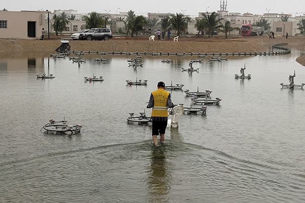 Music fountain In Oman Installation