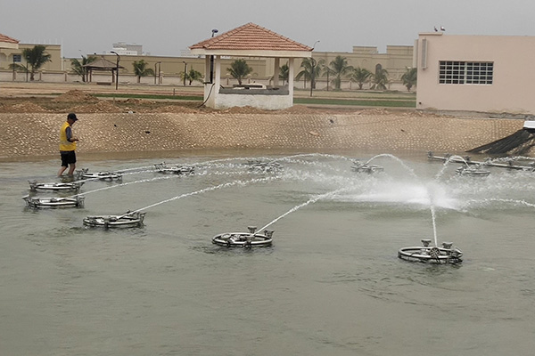 Music fountain In Oman Installation
